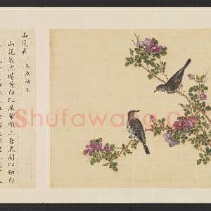 鸟谱(三)册.山花雀故画|2幅|14.85 MB|高清下载