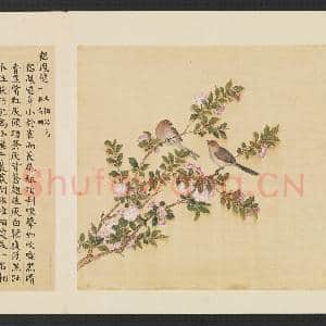 鸟谱(三)册.侣凤逑故画|2幅|15.2 MB|高清下载