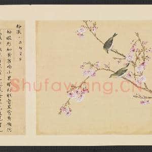 鸟谱(三)册.粉眼故画|2幅|14.64 MB|高清下载
