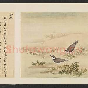 鸟谱(三)册.金眼故画|2幅|14.74 MB|高清下载
