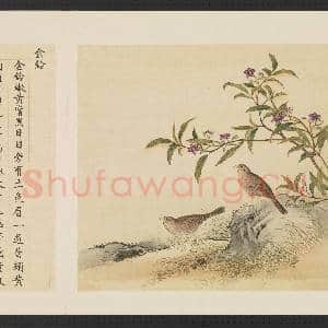 鸟谱(三)册.金铃故画|2幅|14.97 MB|高清下载