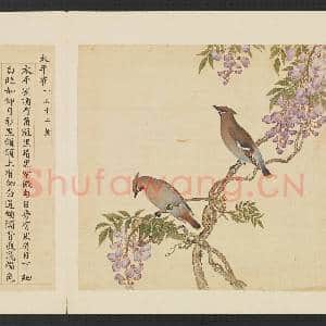 鸟谱(三)册.太平雀故画|2幅|15.03 MB|高清下载