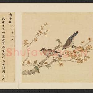 鸟谱(三)册.太平雀故画|2幅|14.86 MB|高清下载