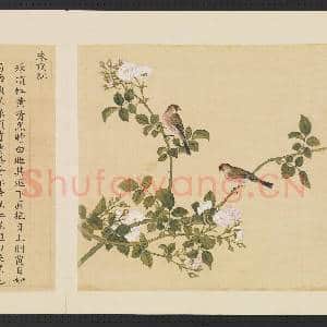 鸟谱(三)册.珠顶红故画|2幅|15.12 MB|高清下载