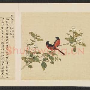 鸟谱(三)册.花红燕故画|2幅|14.99 MB|高清下载