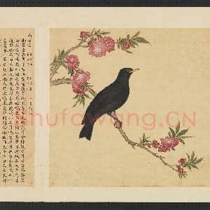 鸟谱(三)册.南百舌故画|2幅|15.62 MB|高清下载