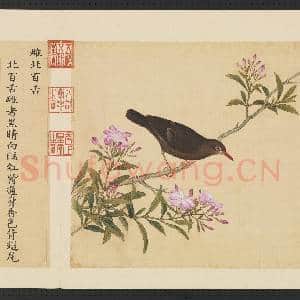 鸟谱(三)册.雌北百舌故画|2幅|15.04 MB|高清下载