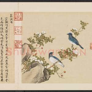 鸟谱(四)册.蓝靛颏故画|2幅|15.8 MB|高清下载