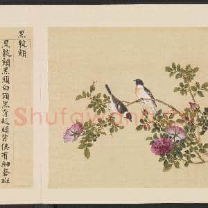 鸟谱(四)册.黑靛颏故画|2幅|15.27 MB|高清下载
