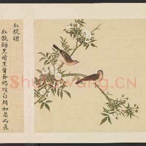 鸟谱(四)册.红靛颏故画|2幅|15.14 MB|高清下载