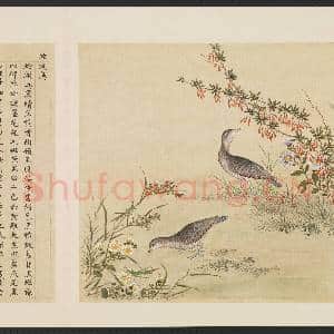 鸟谱(四)册.蛇头鸟故画|2幅|16.02 MB|高清下载