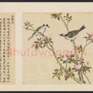 鸟谱(四)册.白头翁故画|2幅|15.88 MB|高清下载