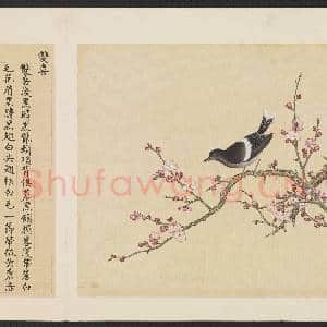 鸟谱(四)册.双喜故画|2幅|15.28 MB|高清下载