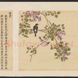 鸟谱(四)册.偷仓故画|2幅|15.29 MB|高清下载