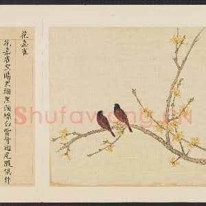 鸟谱(四)册.花嘉雀故画|2幅|14.96 MB|高清下载
