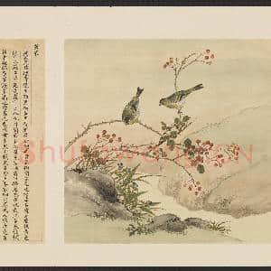 鸟谱(四)册.黄雀故画|2幅|15.49 MB|高清下载
