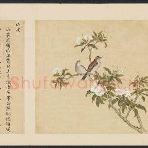 鸟谱(四)册.山雀故画|2幅|15.51 MB|高清下载