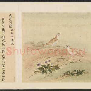 鸟谱(四)册.米色阿兰故画|2幅|15.27 MB|高清下载
