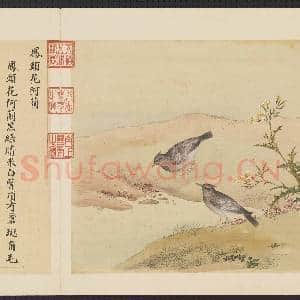 鸟谱(四)册.凤头花阿兰故画|2幅|15.06 MB|高清下载