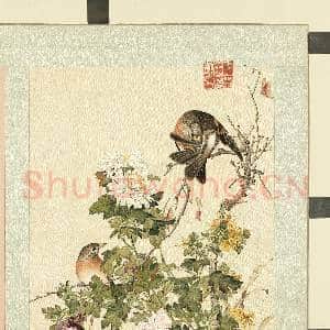 清屈兆麟仿郎世宁花卉.册.菊花故画|2幅|23.68 MB|高清下载