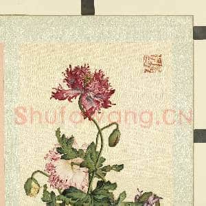清屈兆麟仿郎世宁花卉.册.罂粟故画|1幅|12.56 MB|高清下载