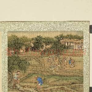 御题棉花图(一)册.灌溉故画|2幅|22.28 MB|高清下载