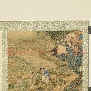 御题棉花图(一)册.摘尖故画|2幅|22.27 MB|高清下载
