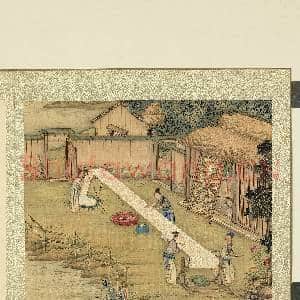 御题棉花图(二)册.布浆故画|2幅|21.92 MB|高清下载