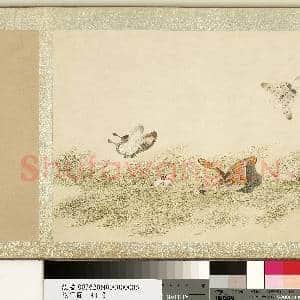 花甲图.册.蝴蝶(六)故画|1幅|10.84 MB|高清下载