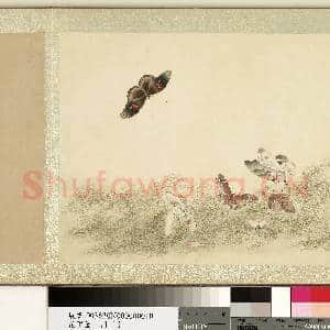 花甲图.册.蝴蝶(十)故画|1幅|10.29 MB|高清下载