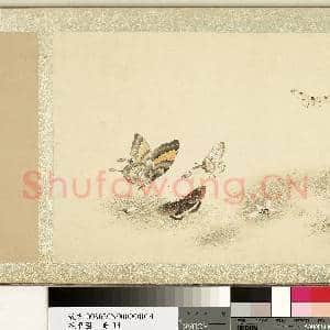 花甲图.册.蝴蝶(十四)故画|1幅|10.05 MB|高清下载