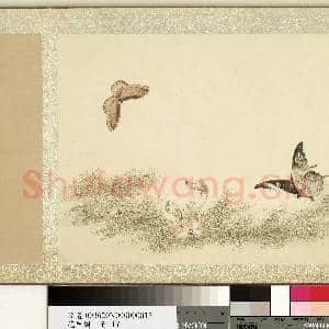 花甲图.册.蝴蝶(十七)故画|1幅|10.09 MB|高清下载