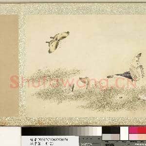 花甲图.册.蝴蝶(廿)故画|1幅|10.77 MB|高清下载