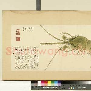 海错图第四册.册.无款龙头虾故画|1幅|8.06 MB|高清下载