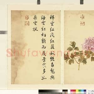 清邹一桂墨妙珠林(未)册.祥云红故画|1幅|6.72 MB|高清下载