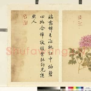 清邹一桂墨妙珠林(未)册.瑞露蝉故画|1幅|6.89 MB|高清下载