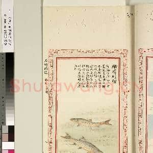 毛诗品物图考(四)册故画|38幅|348.82 MB|高清下载