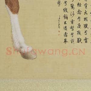 清郎世宁画|21幅|204.85 MB|高清下载