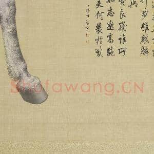 清郎世宁画|21幅|213.61 MB|高清下载