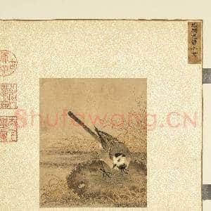 烟云集绘第三册.册.宋张茂莲叶水禽故画|2幅|21.43 MB|高清下载