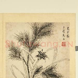 历代集绘.册.更生松枝萱草故画|1幅|8.71 MB|高清下载