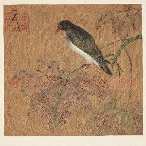 历代名绘.册.无款花鸟故画|3幅|29.31 MB|高清下载