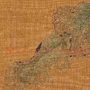 历代名绘.册.宋赵令松花鸟故画|5幅|57.66 MB|高清下载