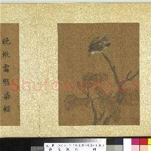 艺苑胪珍.册.明陆治楸叶山禽故画|4幅|43.15 MB|高清下载