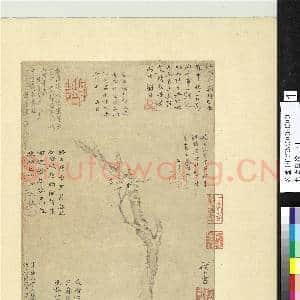 集古图绘.册.宋扬无咎梅花故画|2幅|18.71 MB|高清下载