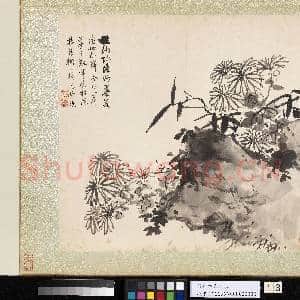 明蓝瑛仿古山水写生.册.丛菊竹石故画|3幅|33 MB|高清下载