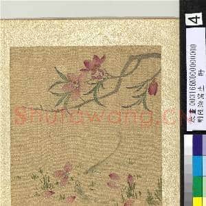 明陆治写生.册.桃花游鱼故画|2幅|23.68 MB|高清下载
