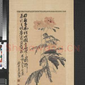 清.吴昌硕芍药轴.赠画|1幅|10.36 MB|高清下载