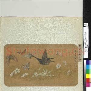 古香片羽.册.清彭鹤芳原蝶戏故画|1幅|10.39 MB|高清下载