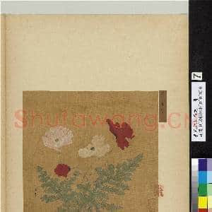唐宋元明集绘.册.宋易元吉虞美人故画|1幅|9.88 MB|高清下载
